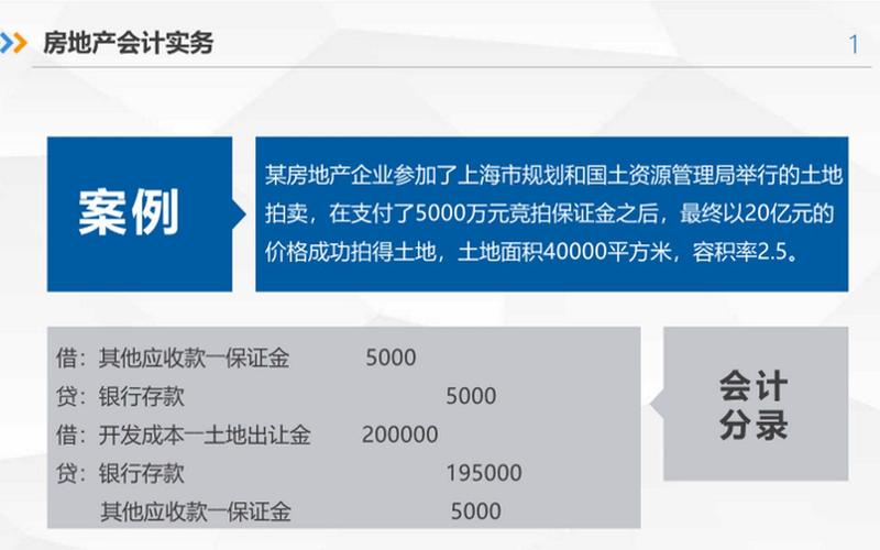 房地产会计实务案例土地拍卖业务的会计核算
